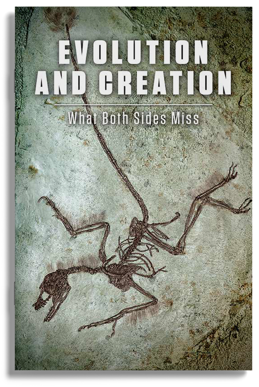 Evolution and Creation: What Both Sides Miss