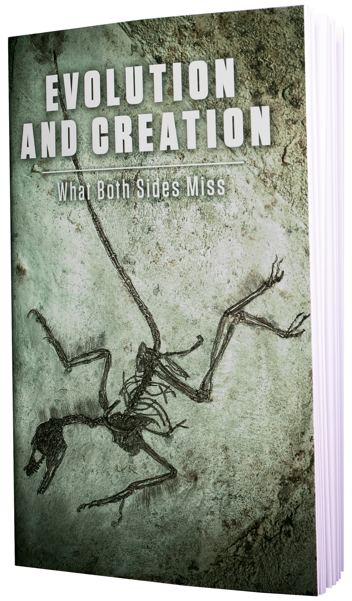 Evolution and Creation: What Both Sides Miss