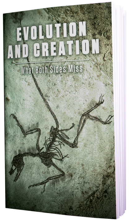 Evolution and Creation: What Both Sides Miss