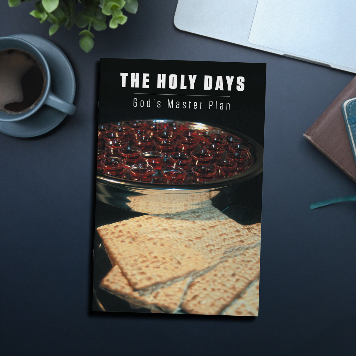 The Holy Days: God’s Master Plan