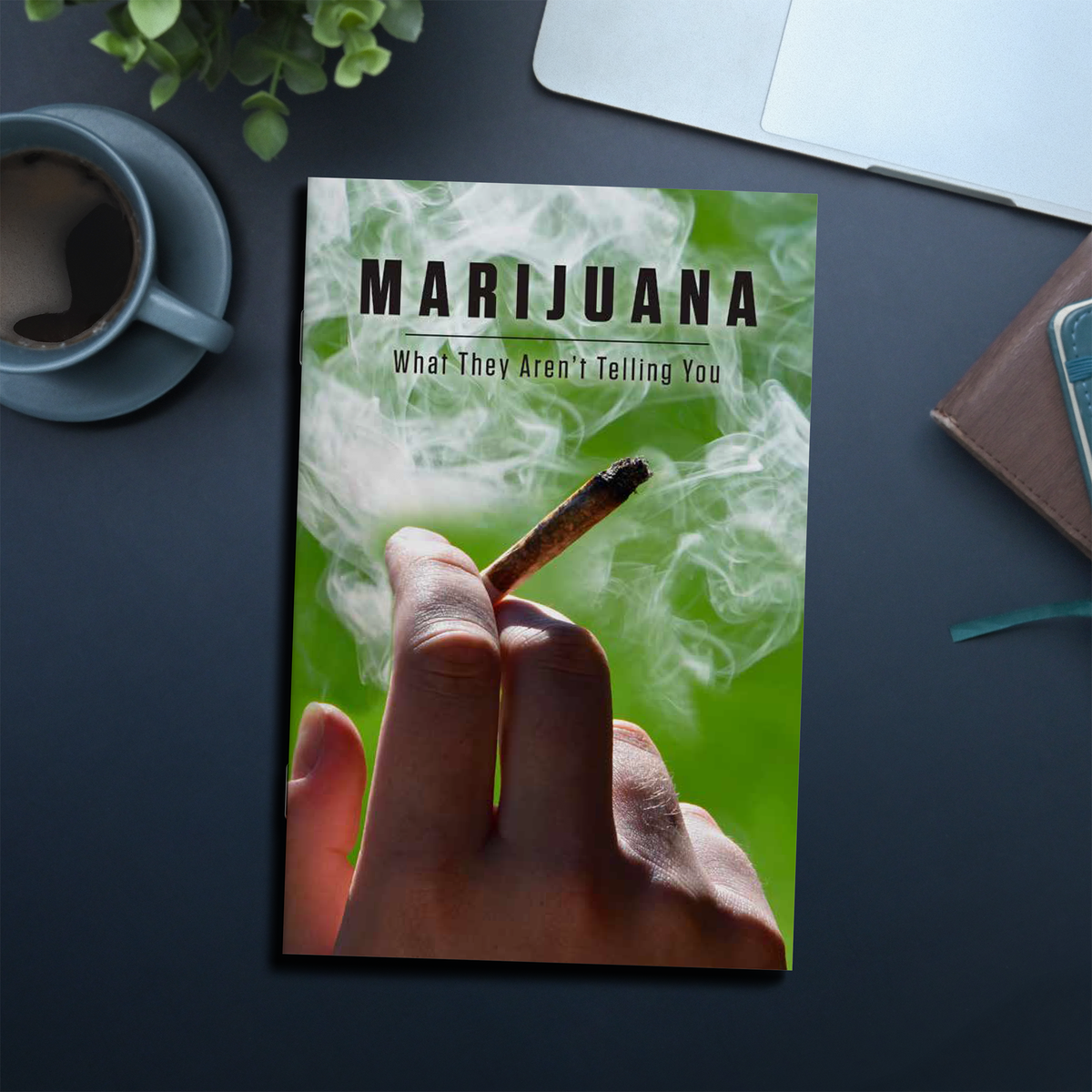 Marijuana: What They Aren’t Telling You